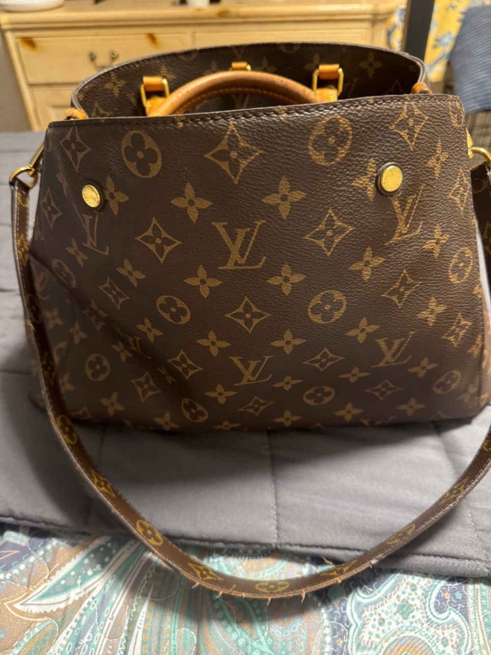 Louis Vuitton purse